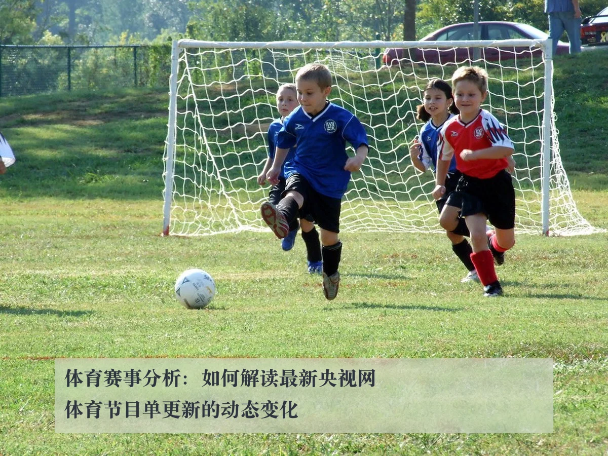体育赛事分析：如何解读最新央视网体育节目单更新的动态变化
